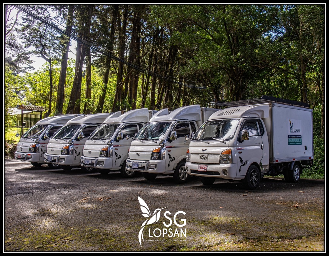 SG LOPSAN SRL - Galería 6